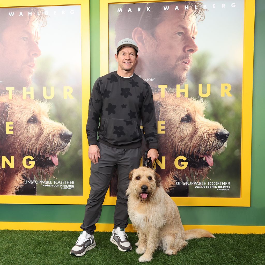 Mark Wahlberg bei einer Filmpremiere im Februar 2024