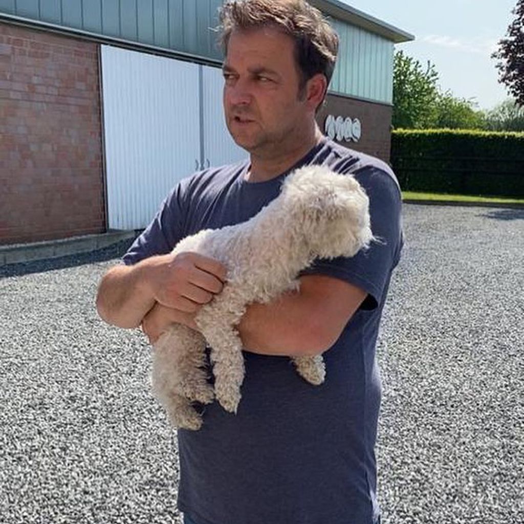 Martin Rütter, Hundeprofi