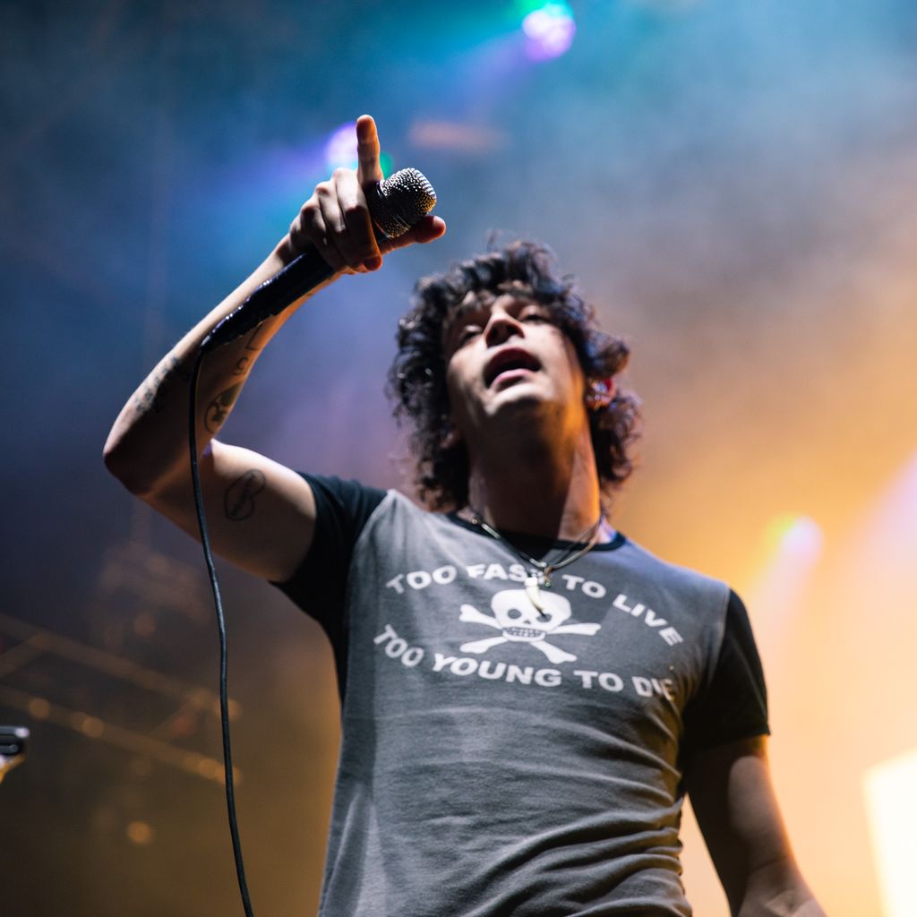 Matty Healy, Musiker