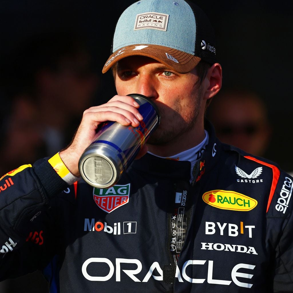 Max Verstappen, Formel-1-Profi