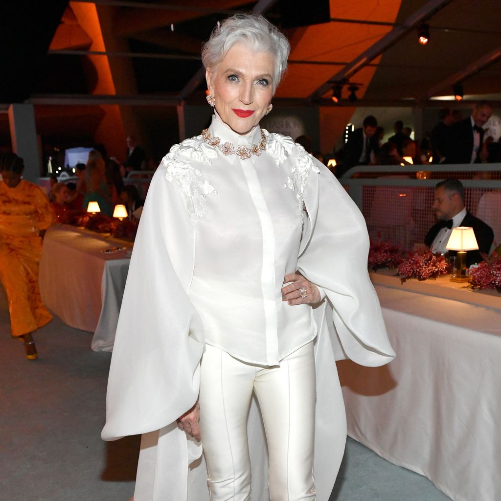Maye Musk, Model