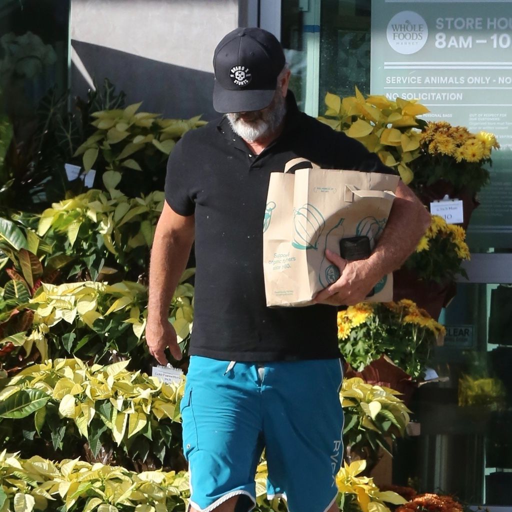 Mel Gibson, November 2019