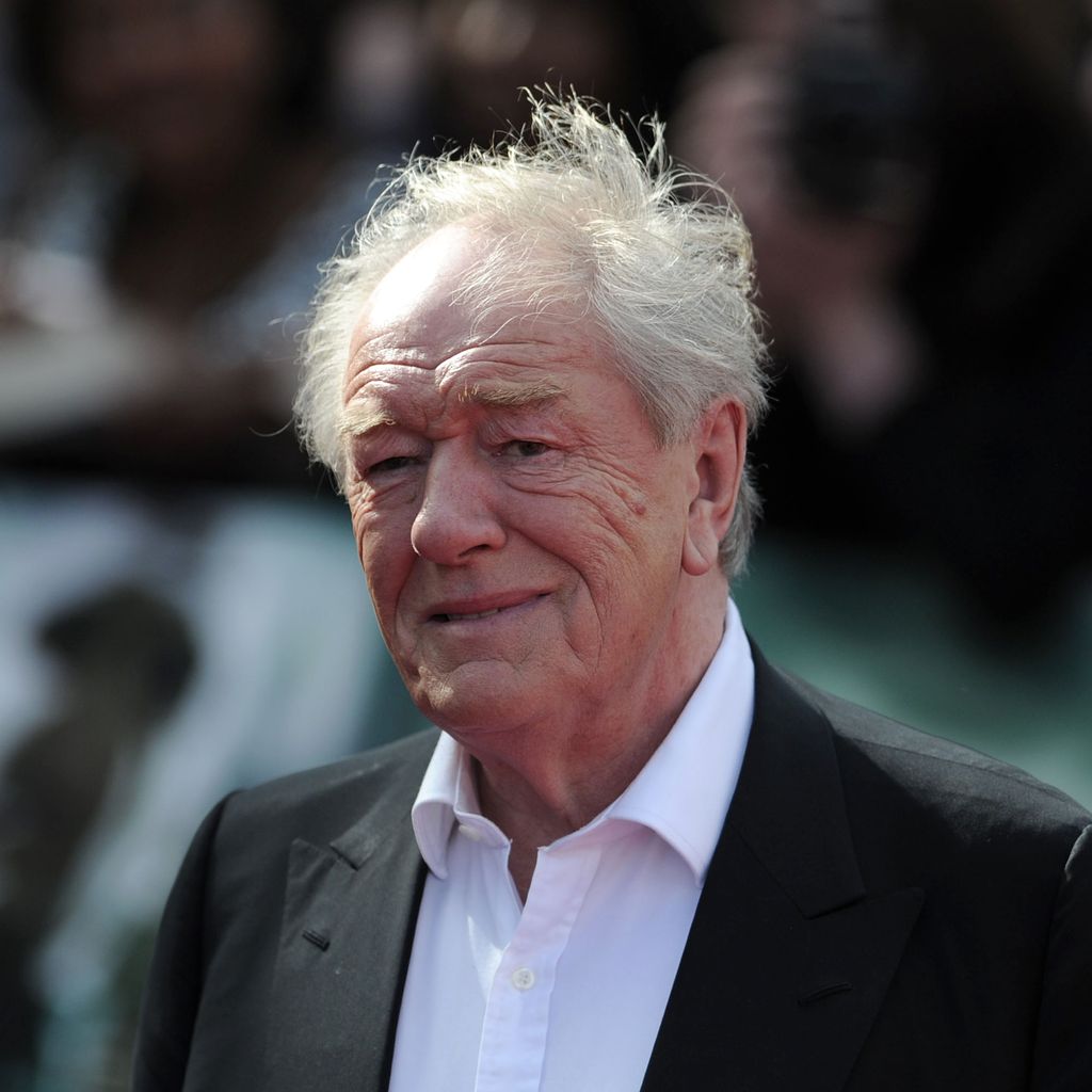 Michael Gambon, Dumbledore-Darsteller