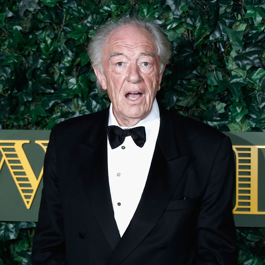 Michael Gambon, "Harry Potter"-Star