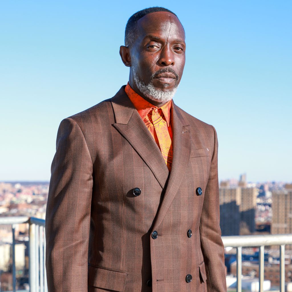Michael K. Williams, Schauspieler