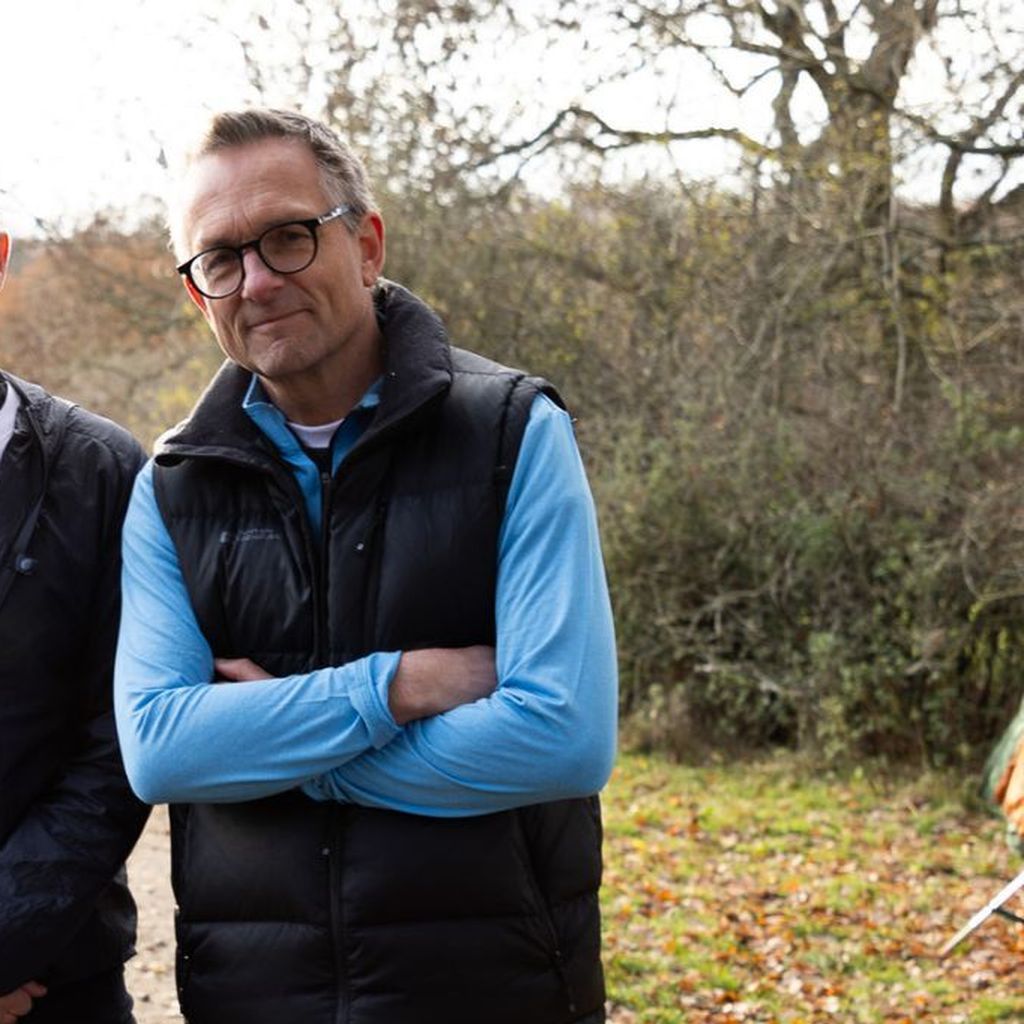 Michael Mosley, Journalist