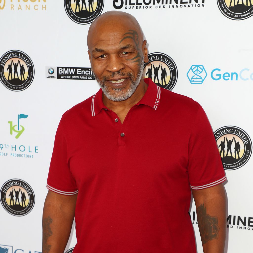 Mike Tyson, Boxlegende