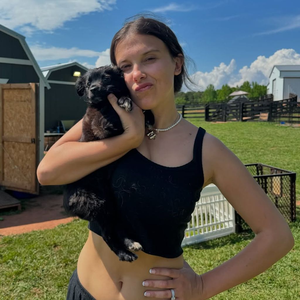 Millie Bobbie Brown auf ihrer Tierfarm