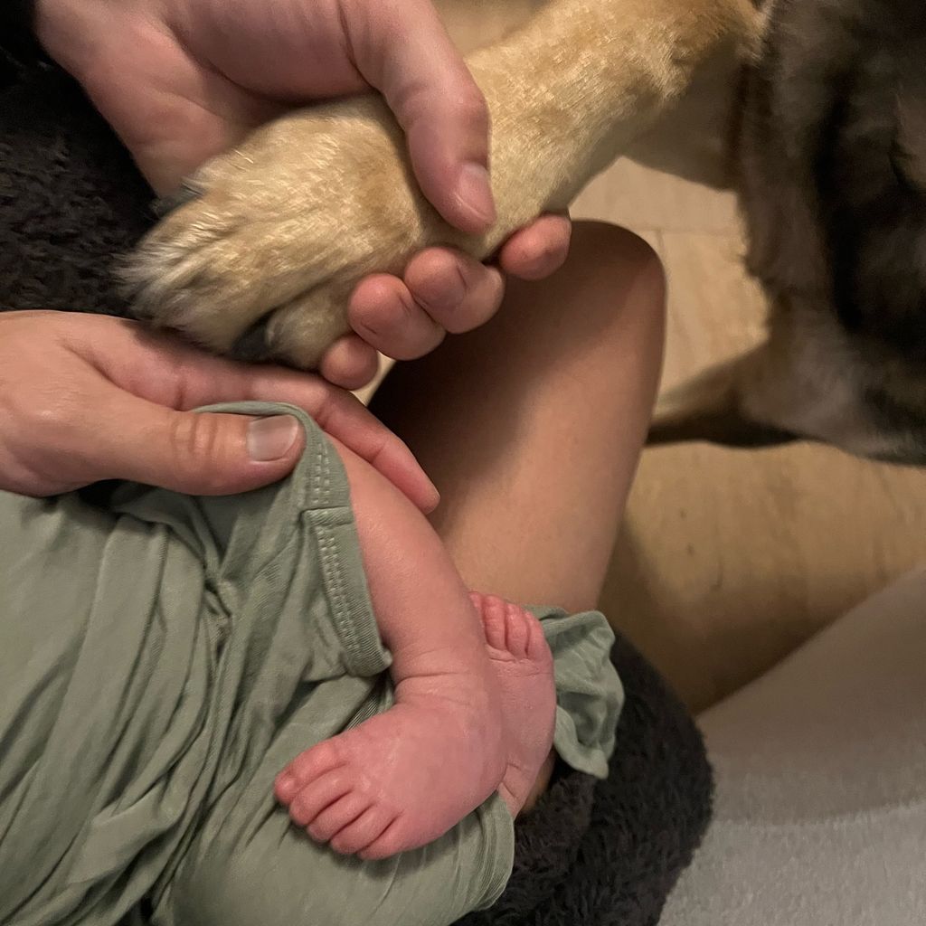 Milo Ventimiglia und Jarah Marianos mit ihren Baby, Januar 2025