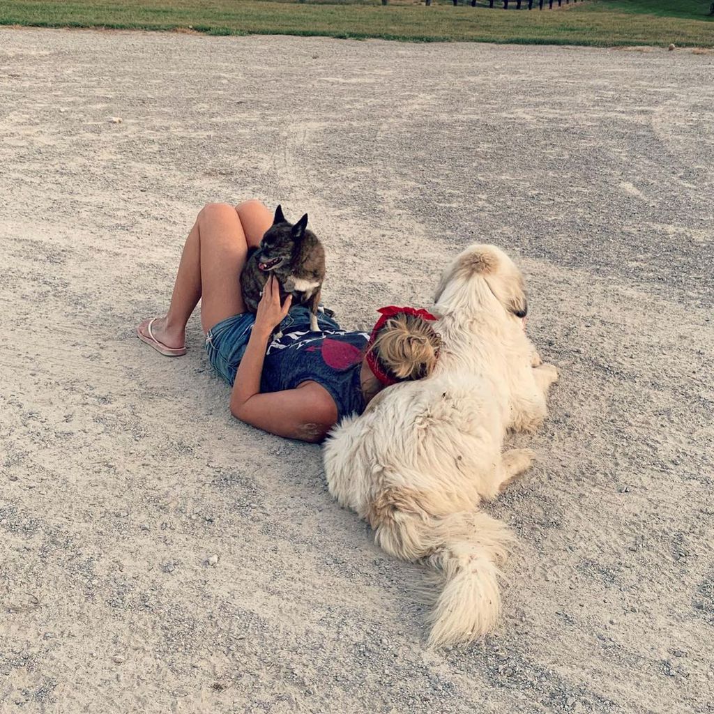 Miranda Lambert mit ihren Hunden