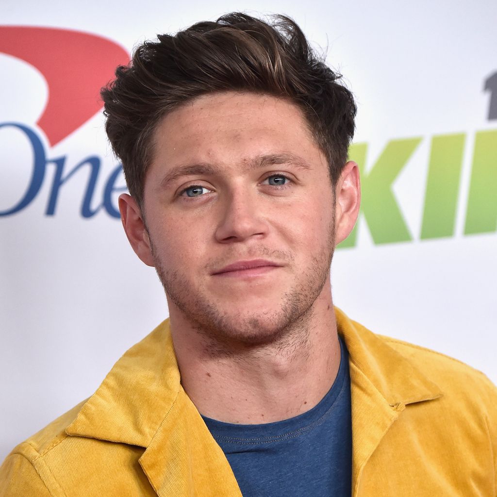 Niall Horan, Sänger