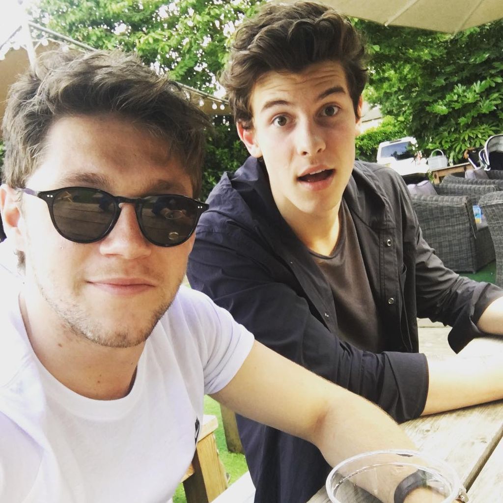Niall Horan und Shawn Mendes, Musiker