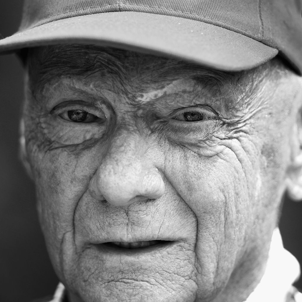 Niki Lauda, Rennsport-Legende