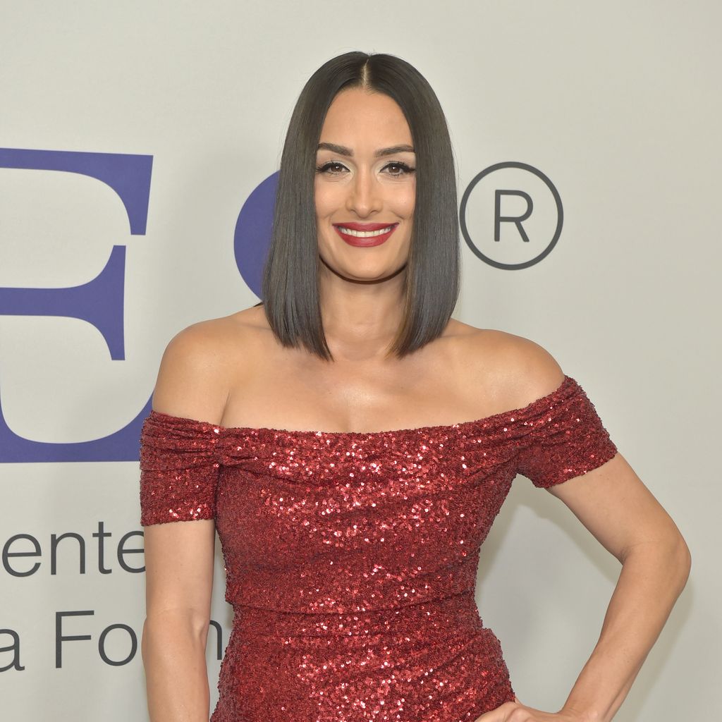 Nikki Bella, Ex-Wrestlerin
