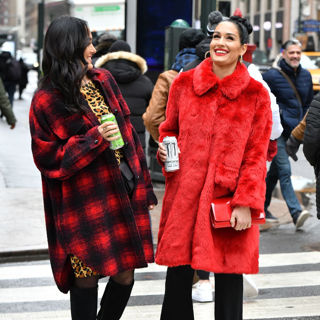 Nikki und Brie Bella, Schwestern