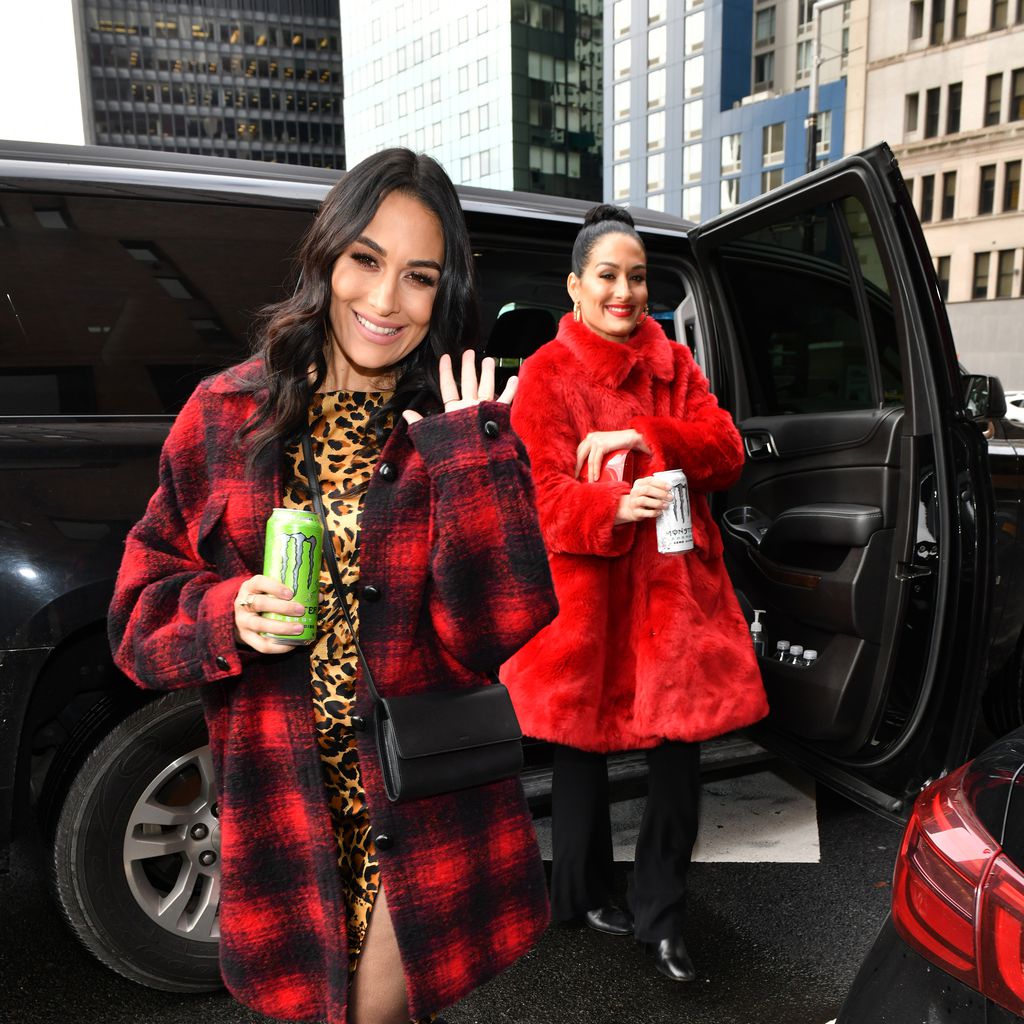Nikki und Brie Bella im Dezember 2019