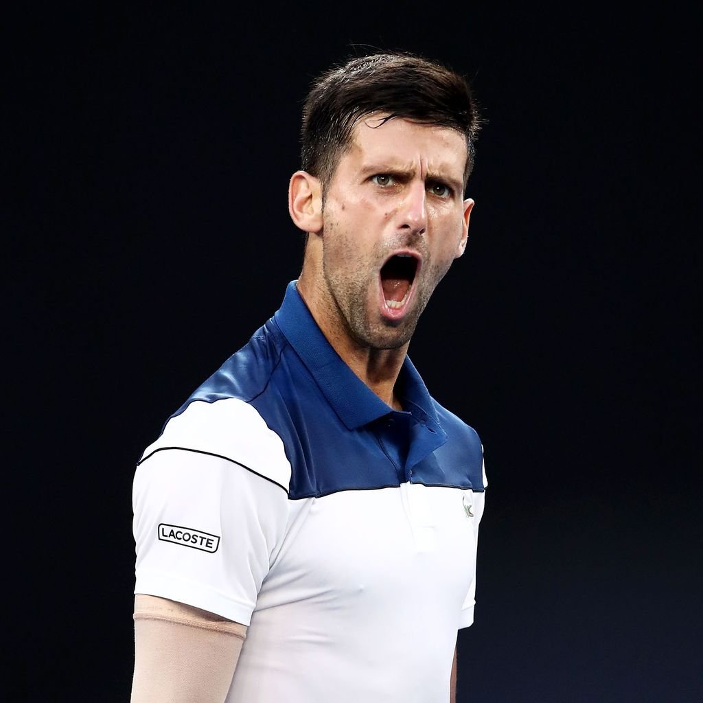 Novak Djokovic, Profisportler