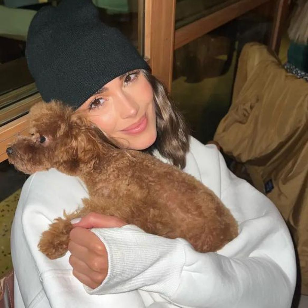 Oliva Culpo, Social-Media-Star