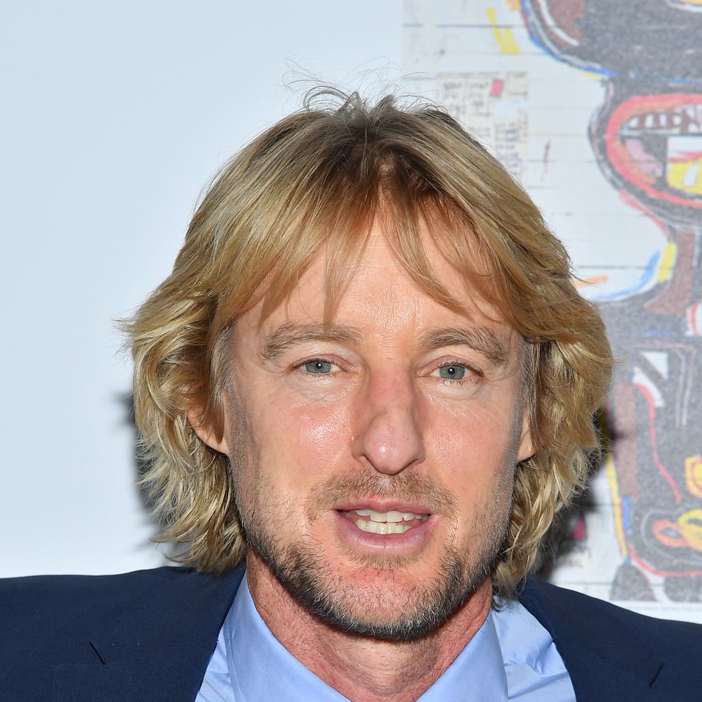Owen Wilson, Filmstar