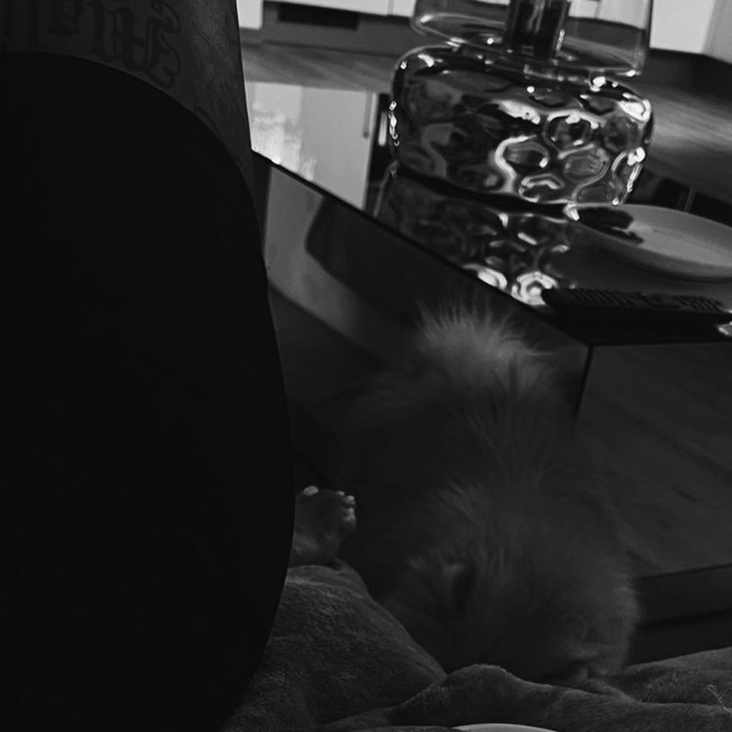 Paco Herb hat eine Date-Night