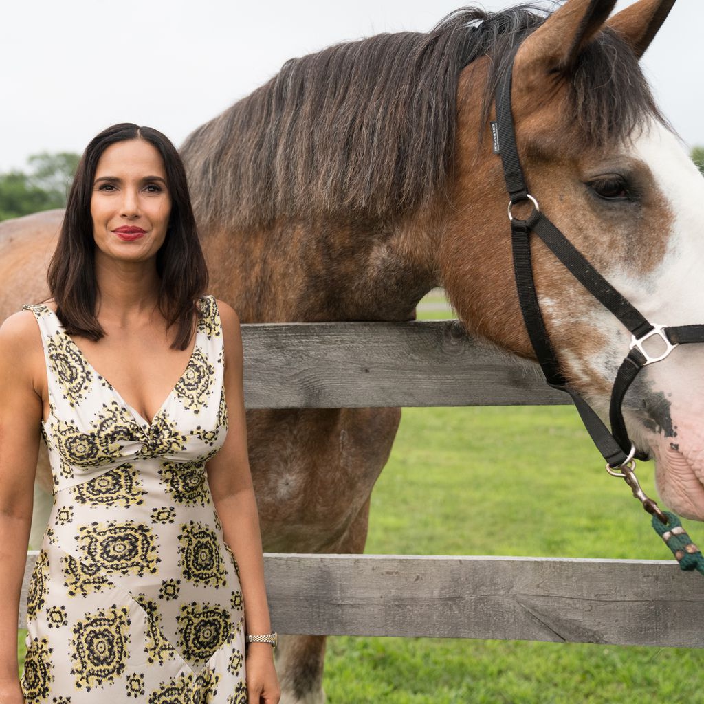 TV-Moderatorin Padma Lakshmi