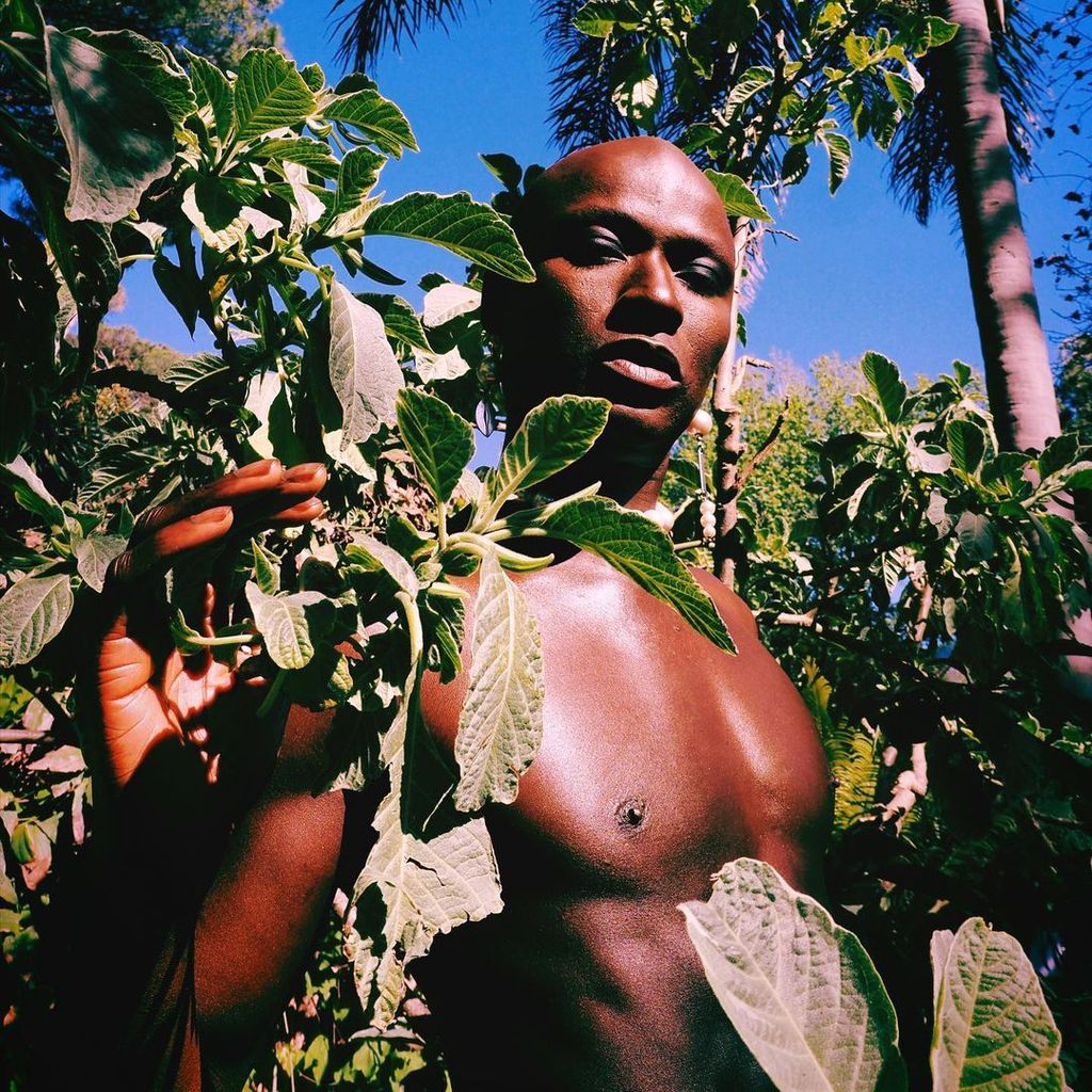 Papis Loveday, Model