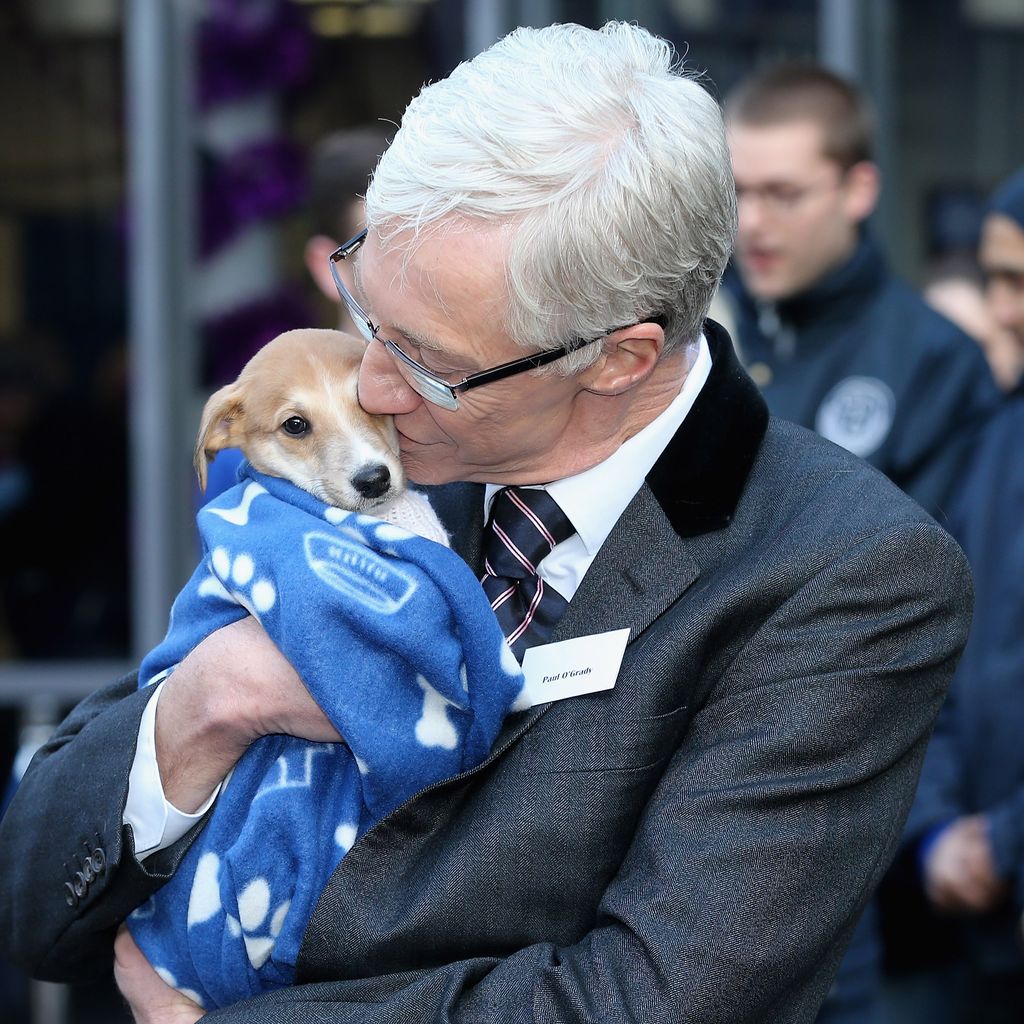 Paul O'Grady, TV-Star