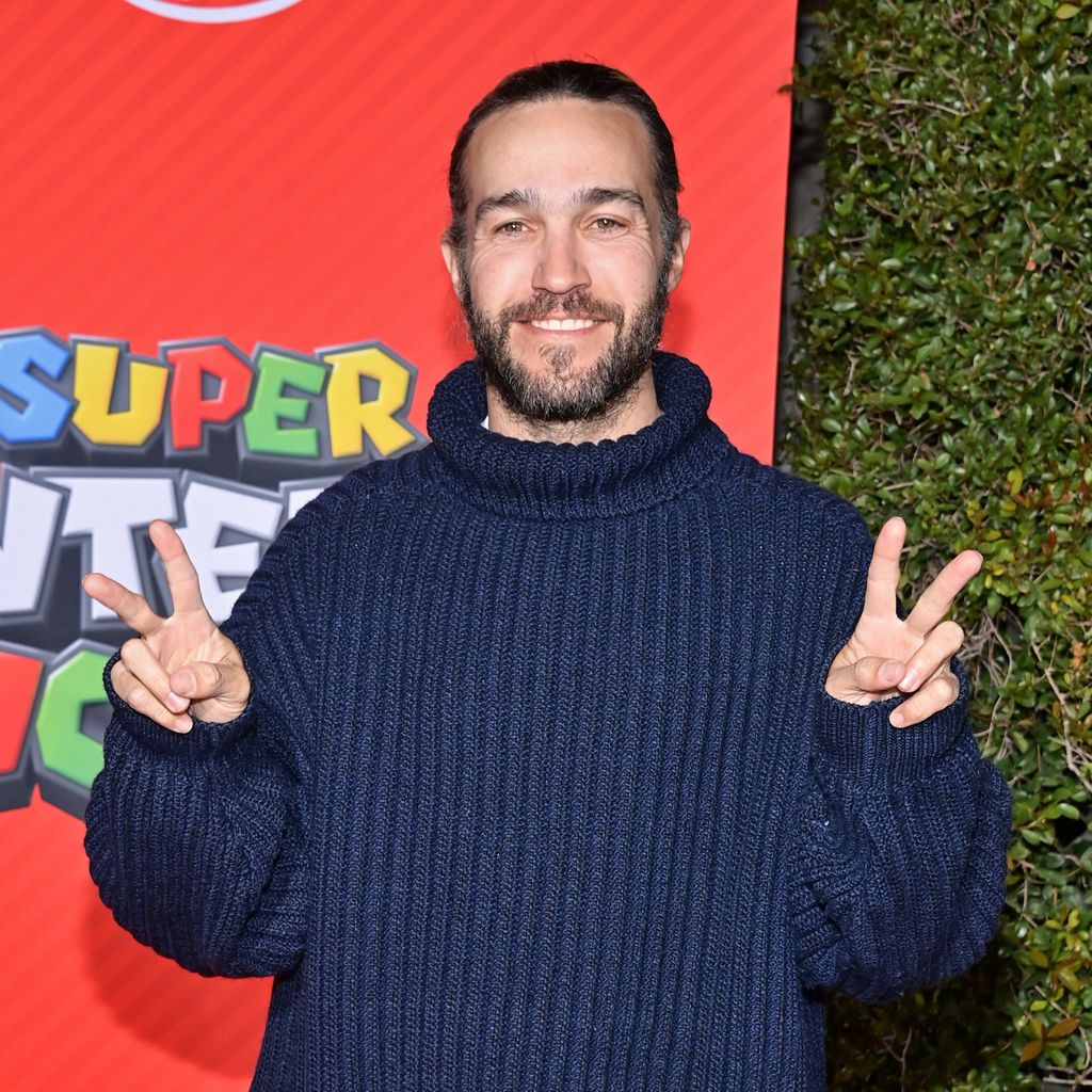 Pete Wentz, Musiker