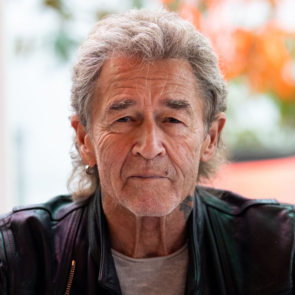 Peter Maffay, Sänger