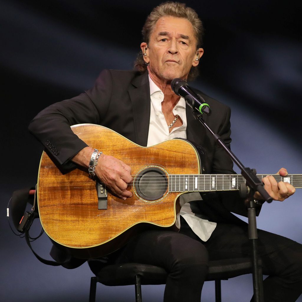Peter Maffay, Musiker