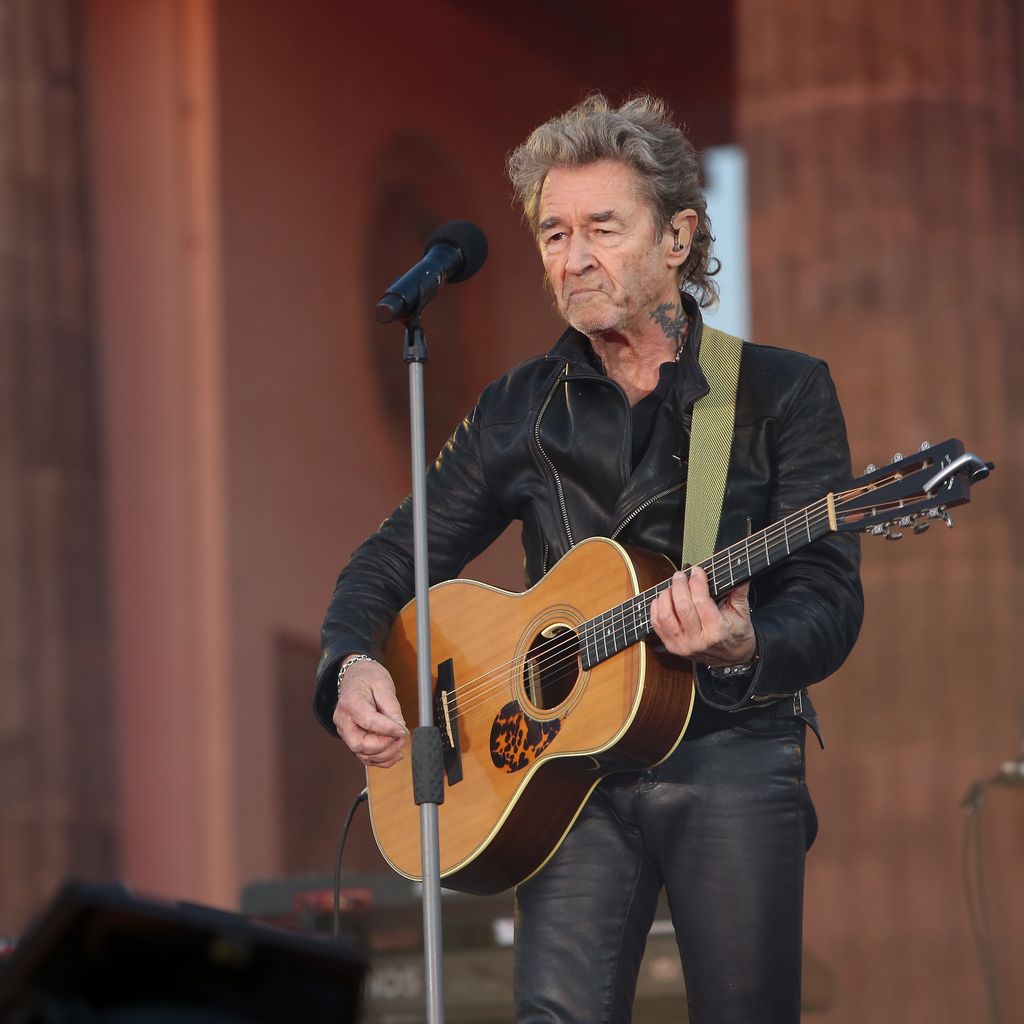 Peter Maffay, Musiker