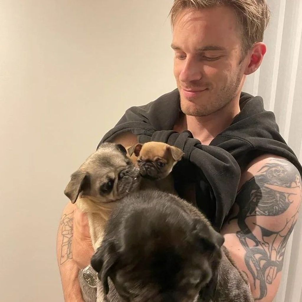 PewDiePie, YouTube-Star