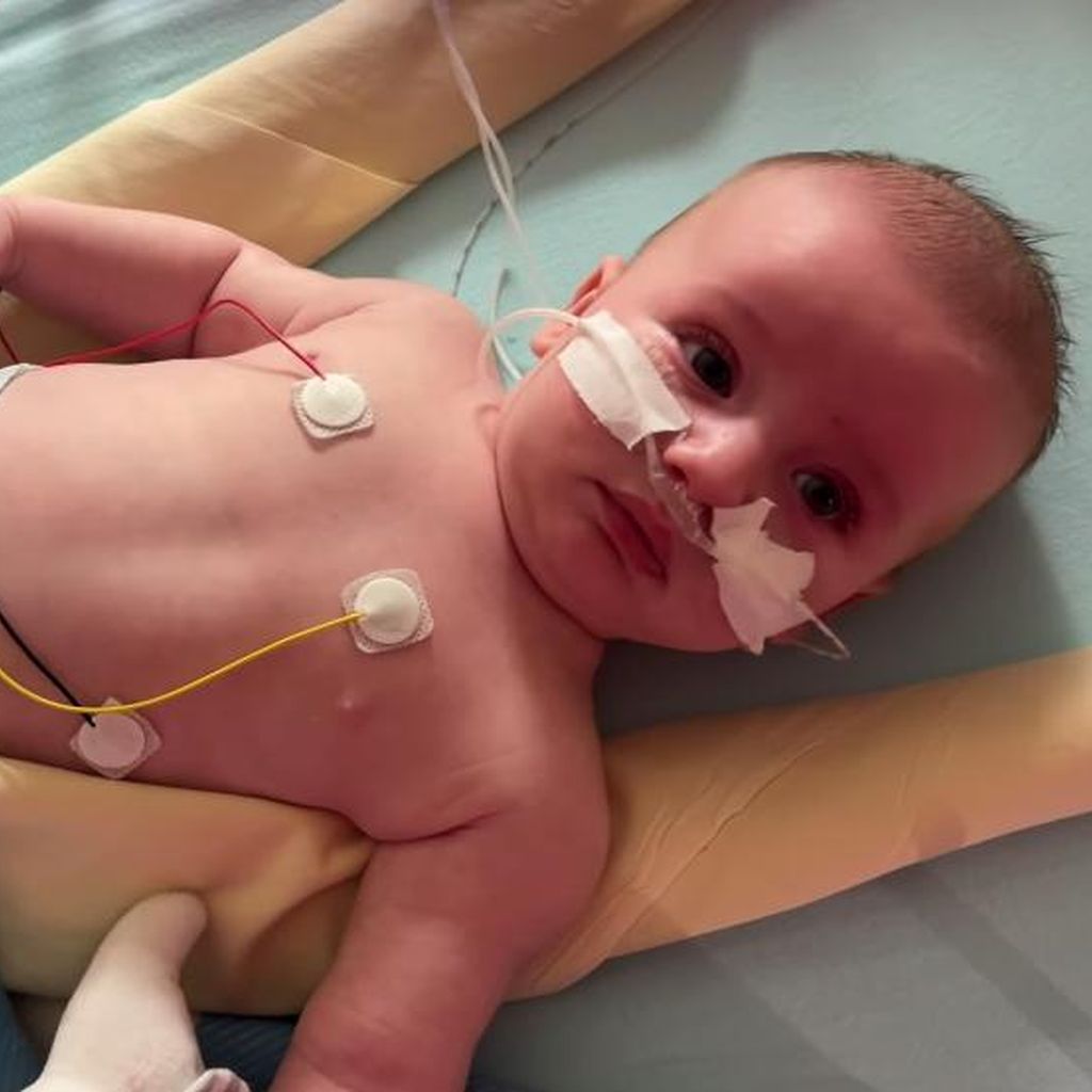 Philipp Pleins Sohn Rouge im Krankenhaus