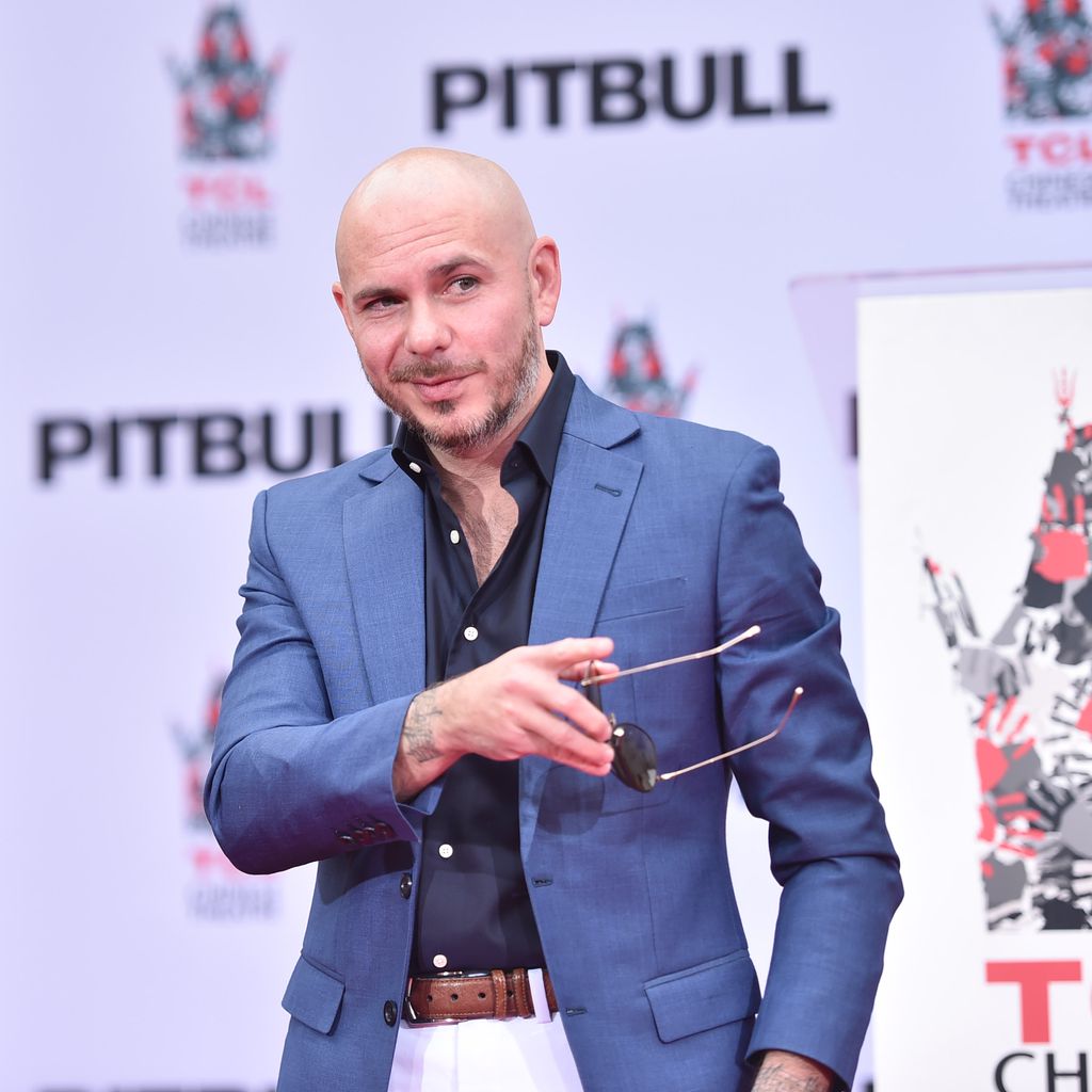 Pitbull, Musiker