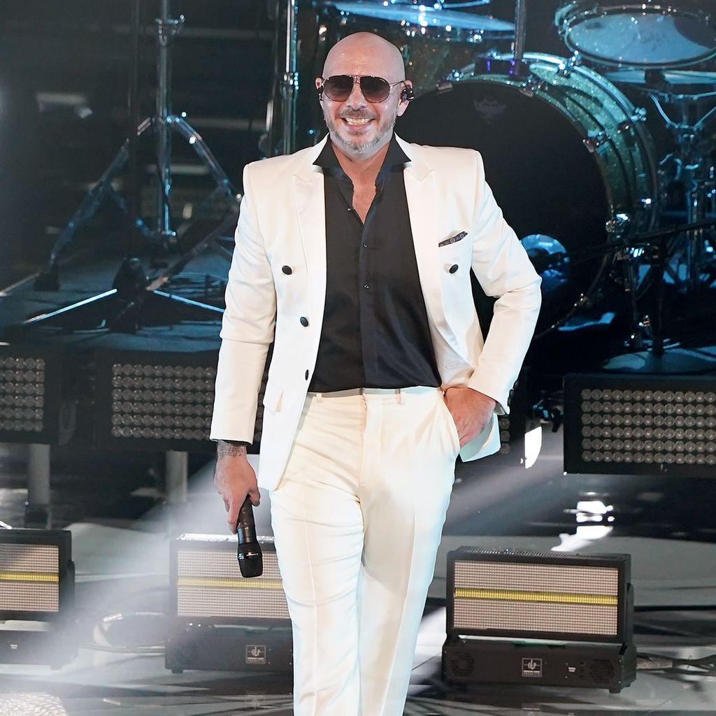 Pitbull, November 2020