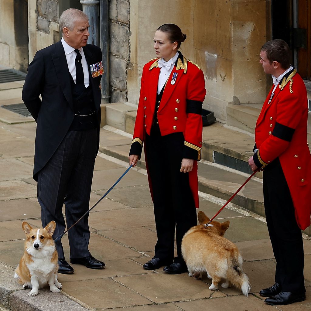 Prinz Andrew mit den royalen Corgis, September 2022