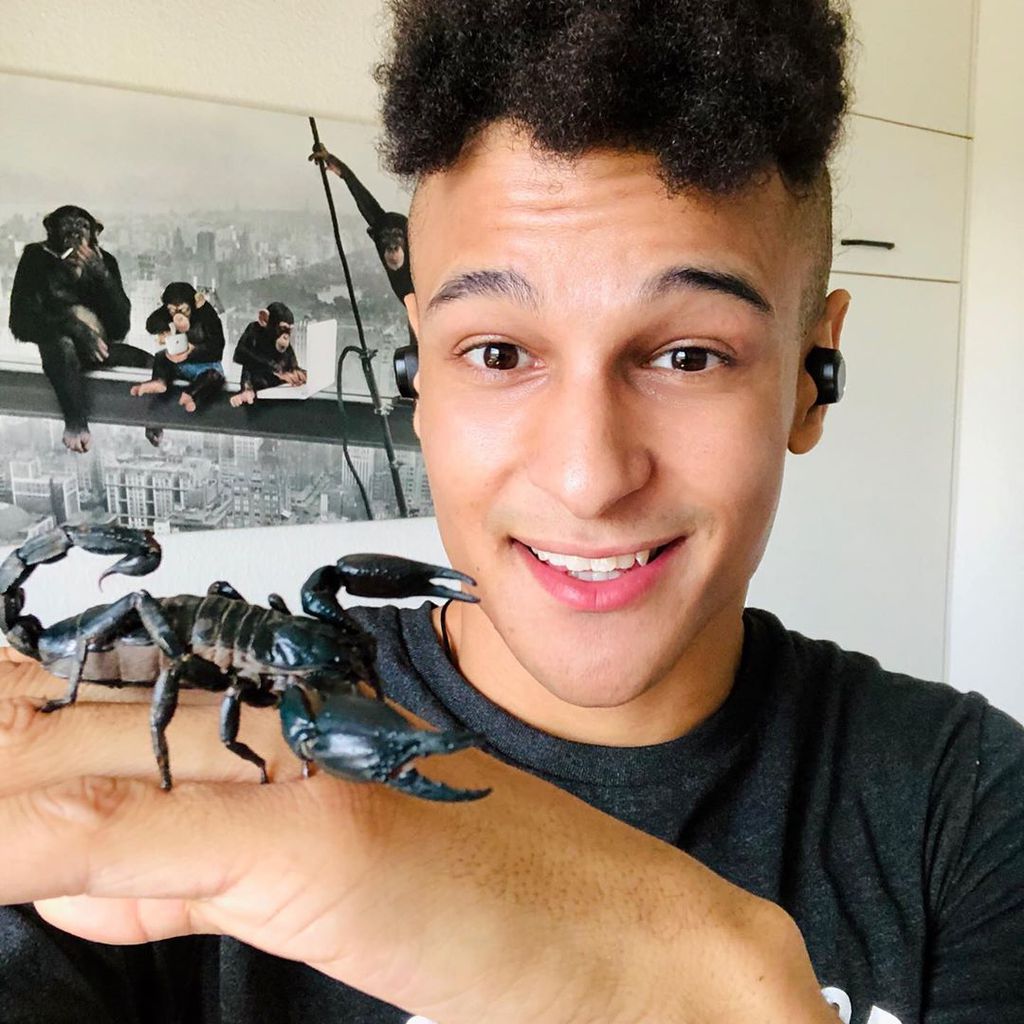 Prince Damien und sein Skorpion Lady