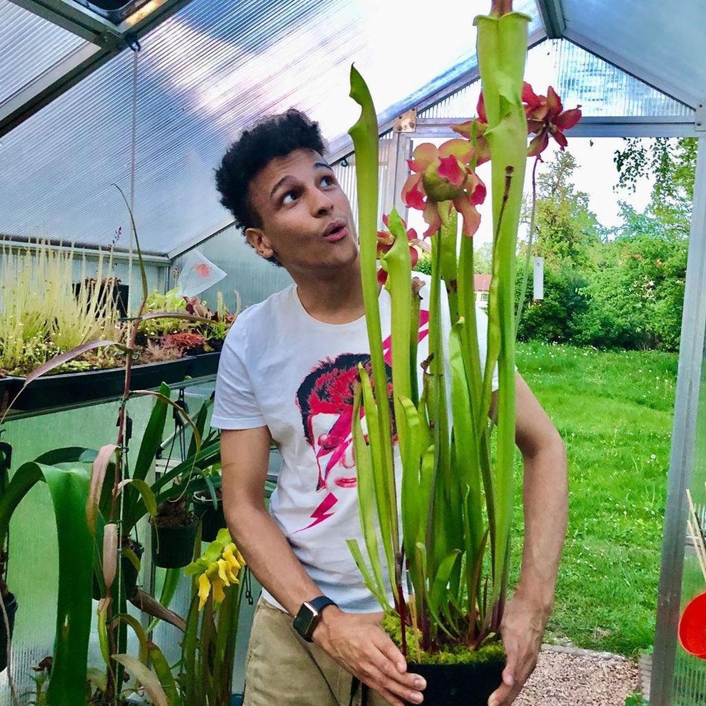 Prince Damien im Mai 2020