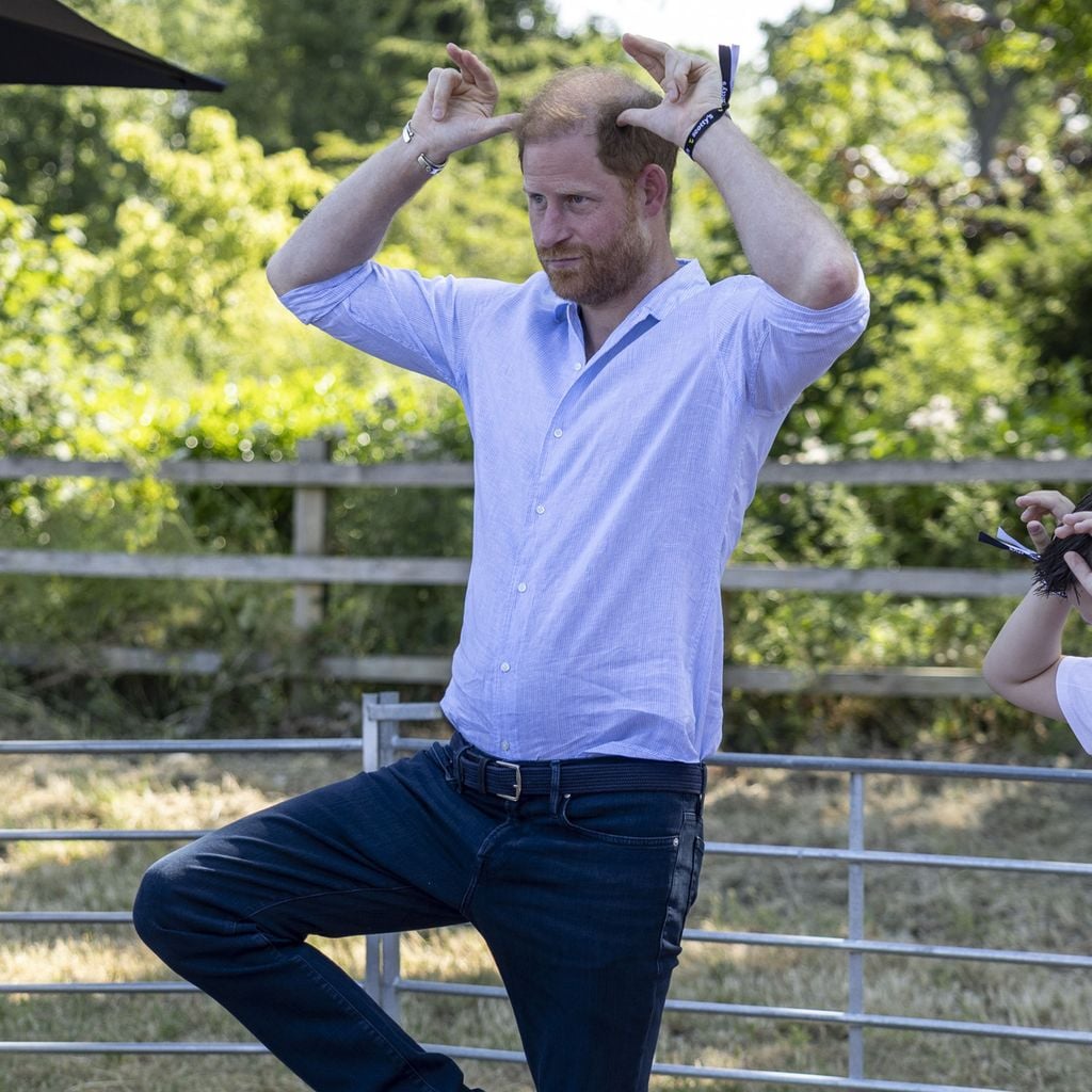Bei Scotty's Summer Festival: Prinz Harry macht bei einer Goat-Yoga-Session mit