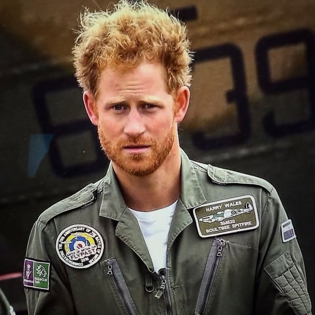 Prinz Harry, 2015