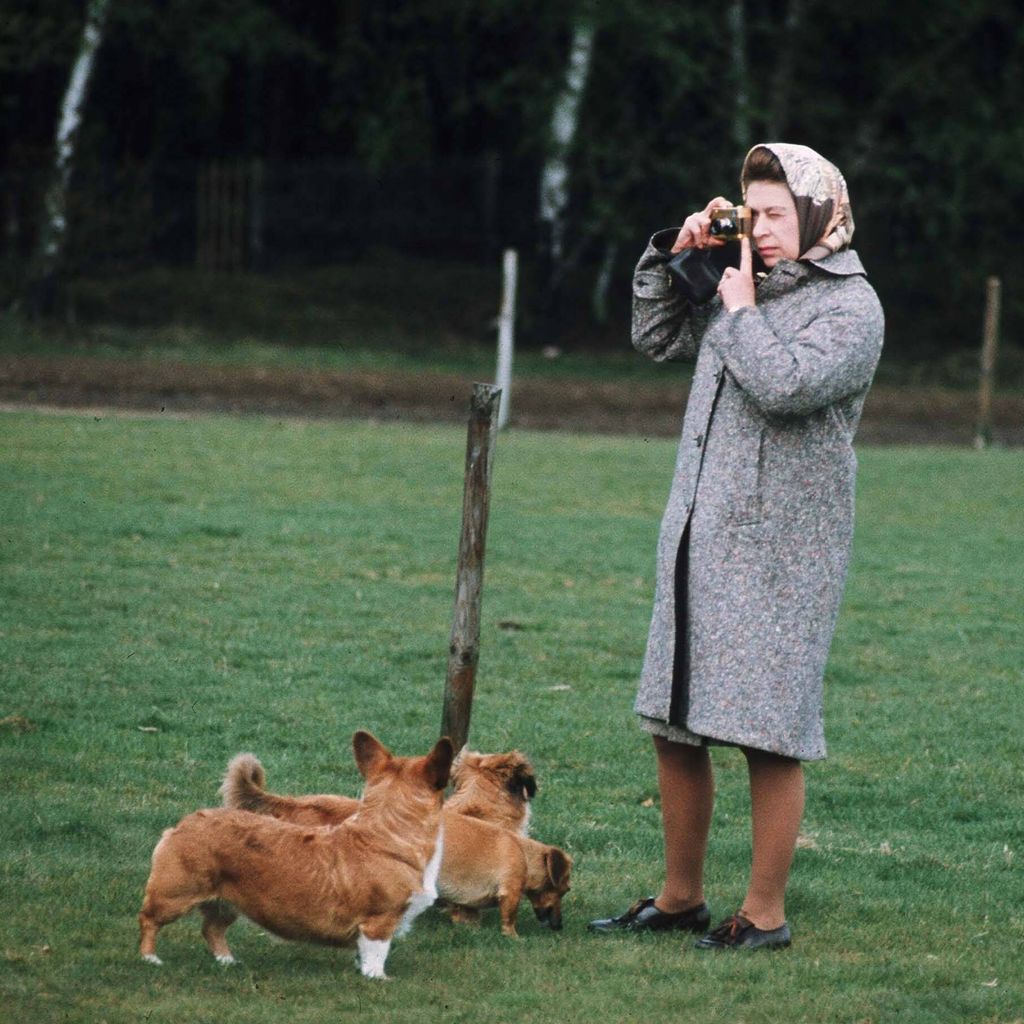 Queen Elizabeth mit ihren Hunden, April 2006