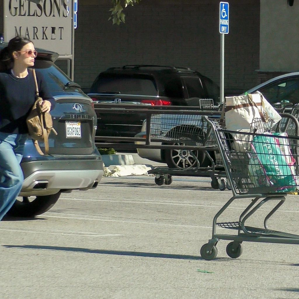 Rachel Bilson in Los Angeles