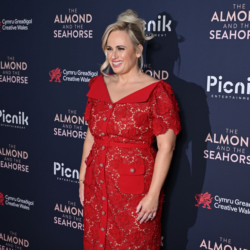 Rebel Wilson, Schauspielerin
