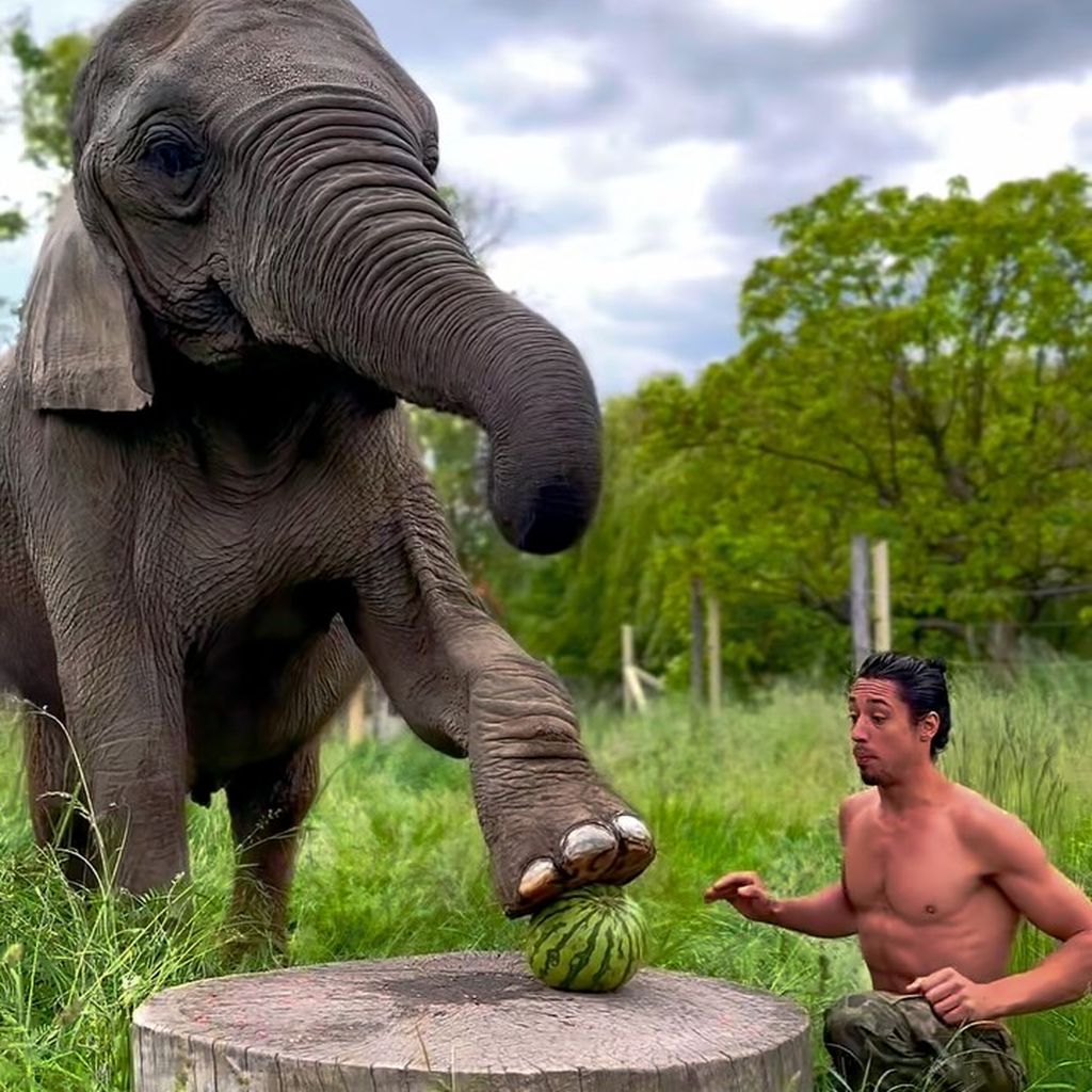 Ninja Warrior René Casselly mit seinem Elefanten