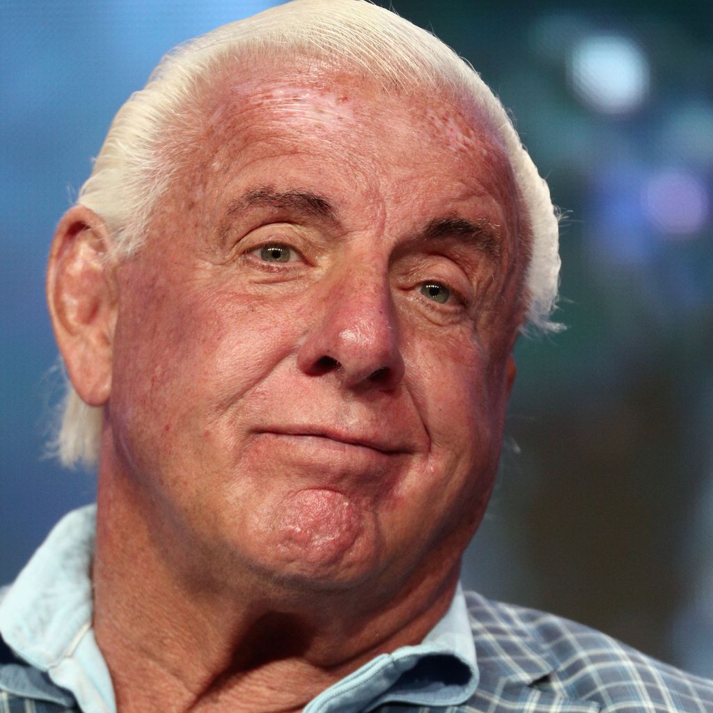Ric Flair, Wrestler