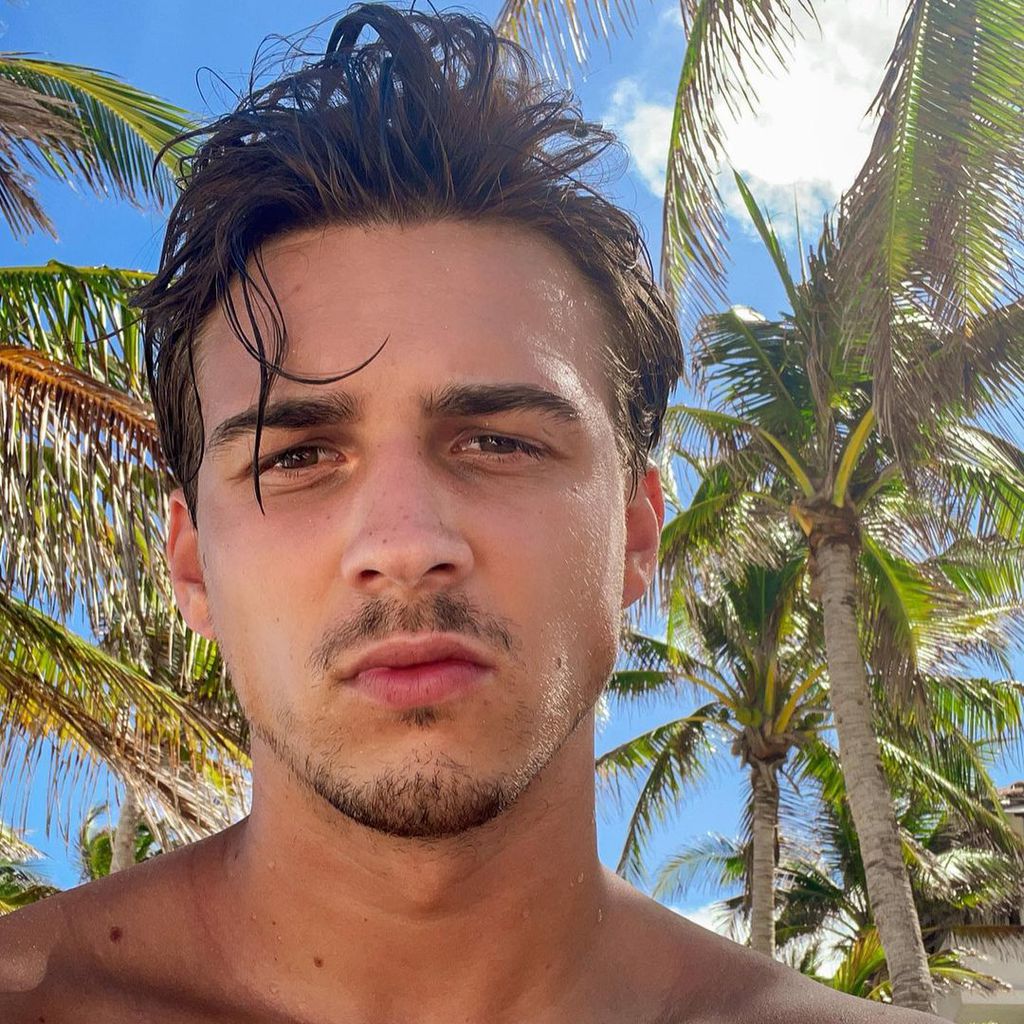 Richard Heinze, Influencer
