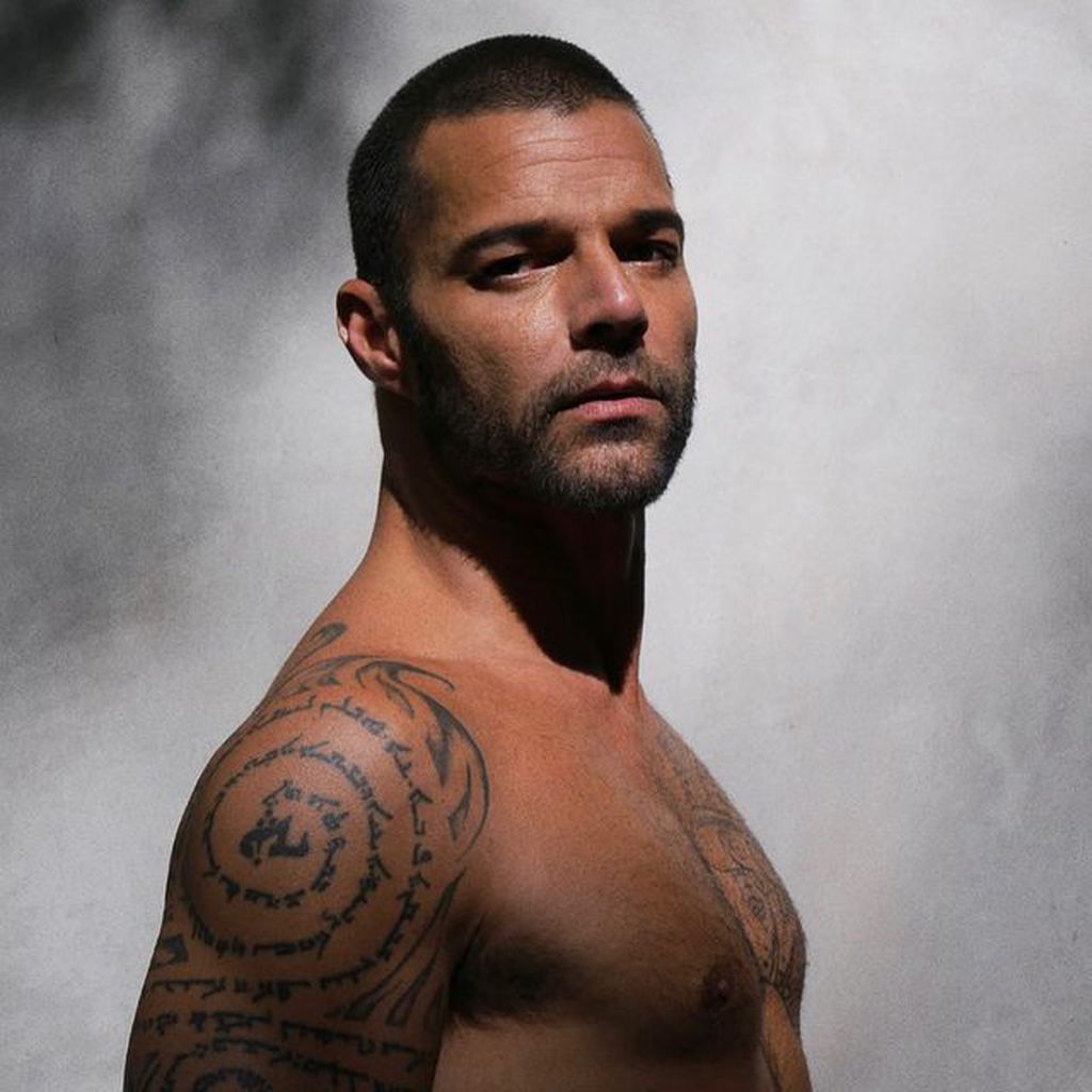 Ricky Martin, Sänger