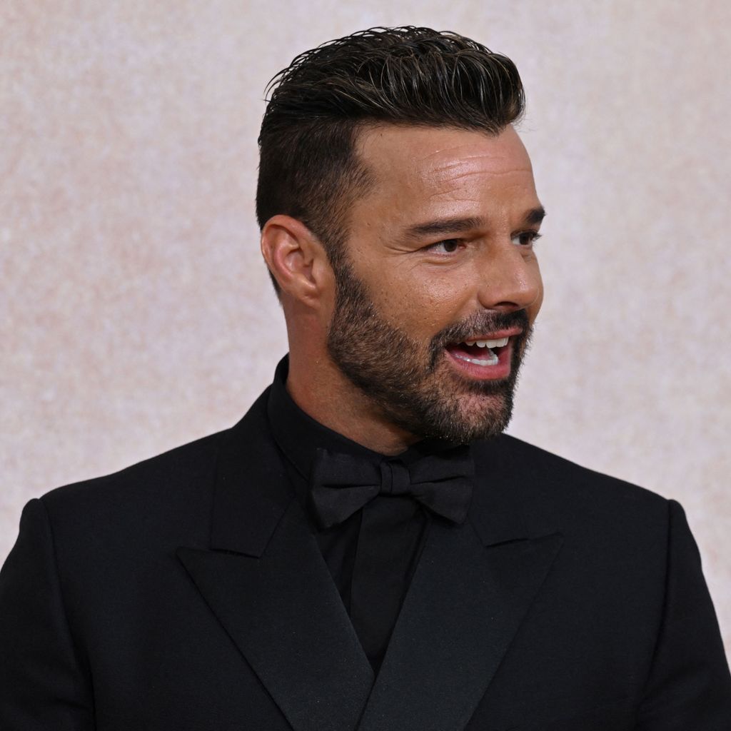 Ricky Martin, Sänger