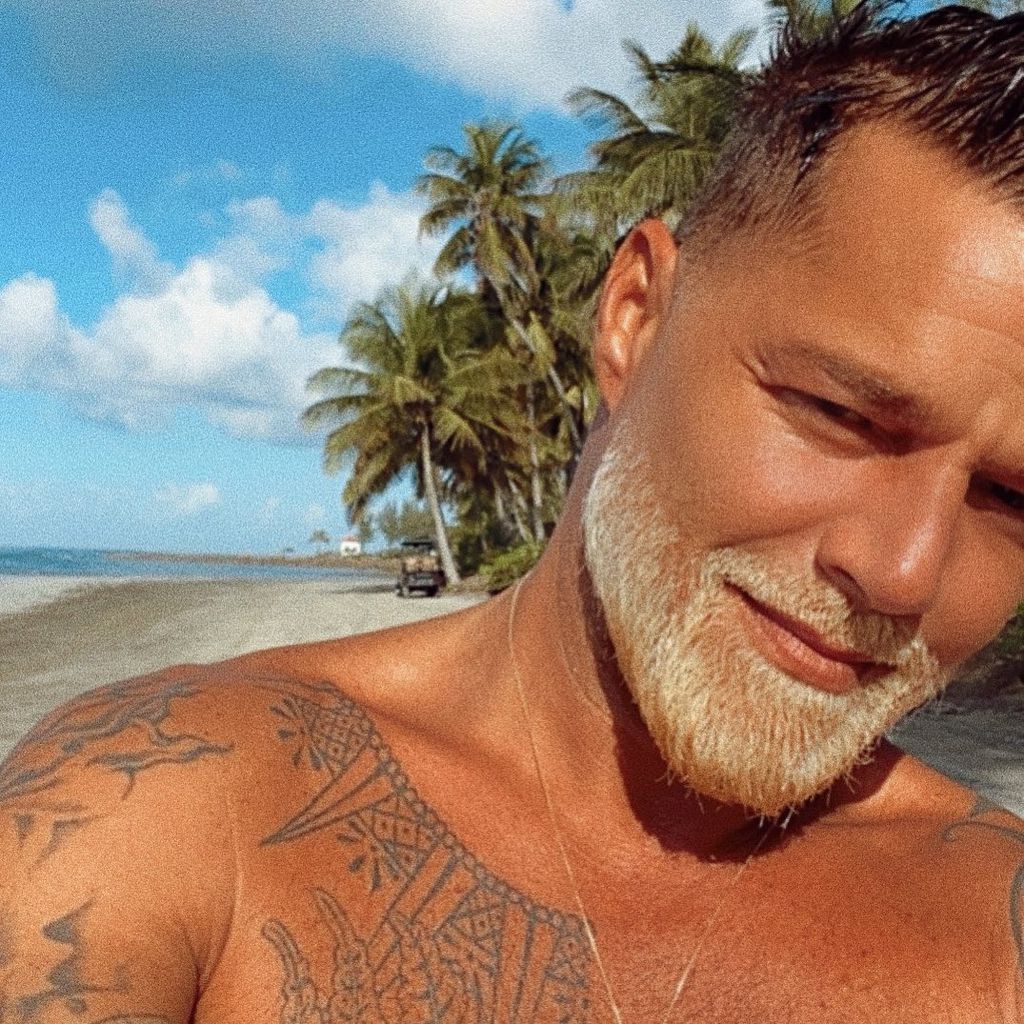 Ricky Martin, Musiker
