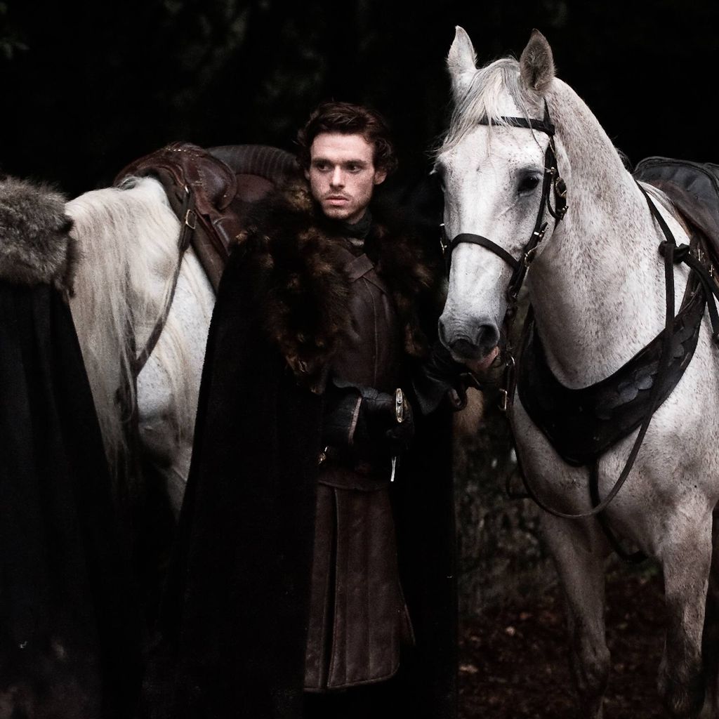 Robb Stark, Charakter aus "Game of Thrones"